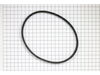 BELT TRACTION – Part Number: 7019202YP