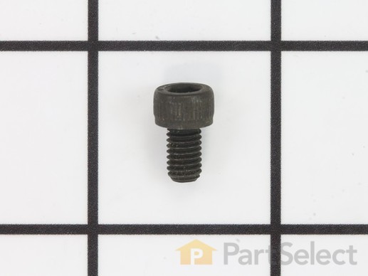 18685016-1-M-Ryobi-079005004001-SCREW (M5 X 8 MM, SOC HD)