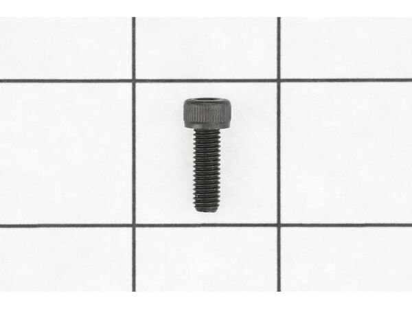 18685017-1-M-Ryobi-079005004002-SCREW (M5 X 14 MM)