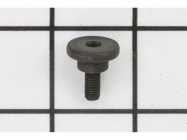 18685023-1-M-Ryobi-079005004009-DEFLECTOR SCREW