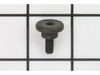 DEFLECTOR SCREW – Part Number: 079005004009