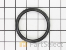 CYLINDER SEAL – Part Number: 079005004076