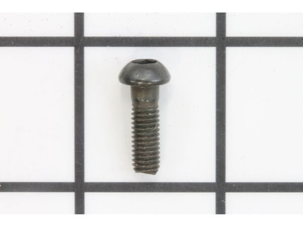 18685320-1-M-Ryobi-079019001002-SCREW (M5 X .8-16 MM PAN HD)