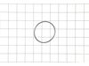 O-RING (61.2 X 2.62) – Part Number: 079072001017
