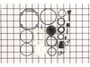 OVERHAUL KIT – Part Number: 079072001706
