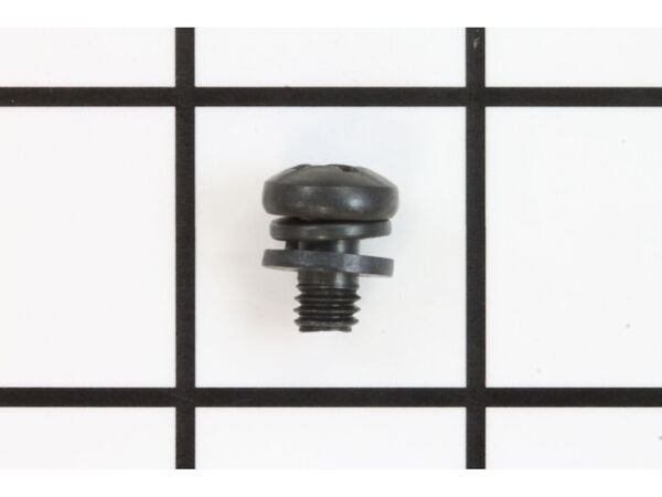 18686410-1-M-Ryobi-080029002011-SCREW M6 X 10 MM, PAN HD