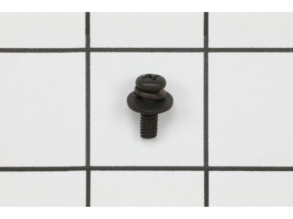 18686978-1-M-Ryobi-089028007109-SCREW W/ WASHER (M4X 12 MM)