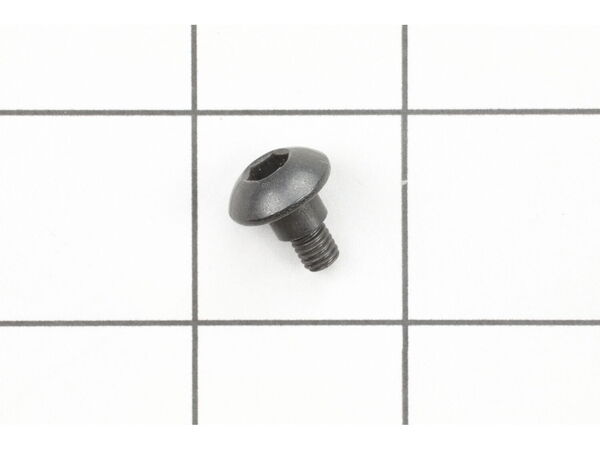 18687041-1-M-Ryobi-089036008014-SCREW (M5 X 10 MM)