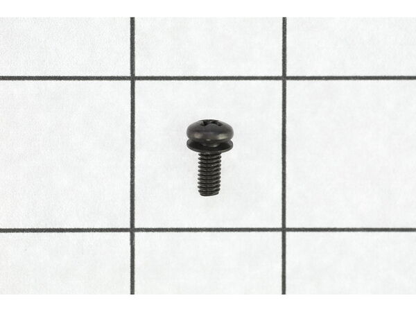 18687101-1-M-Ryobi-089036008089-SCREW (M4 X 10 MM, PAN HEAD)