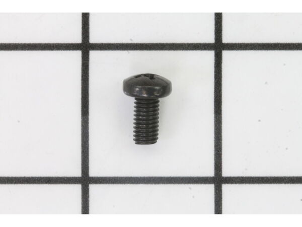 18687131-1-M-Ryobi-089036008125-SCREW (M5 X 10 MM, PAN HD)