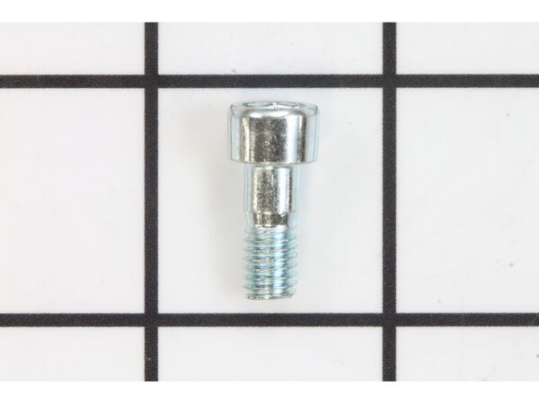 18687370-1-M-Ryobi-089038001005-SCREW (M6 X 15 MM, HEX SOC. HD