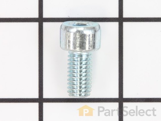 18687373-1-M-Ryobi-089038001008-SCREW (M8 X 15 MM, HEX SOC. HD