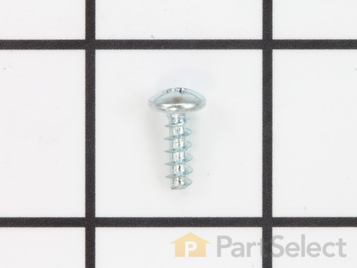 18687382-1-M-Ryobi-089038001018-SCREW (M4 X 12 MM)