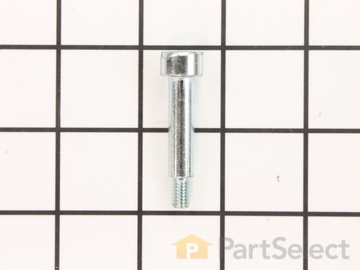 18687385-1-M-Ryobi-089038001021-AXLE BOLT (M6 X 40 MM)