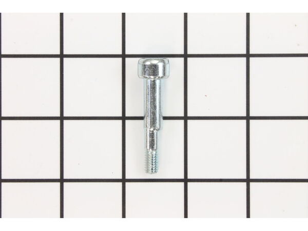 18687477-1-M-Ryobi-089038001130-SCREW (M6)