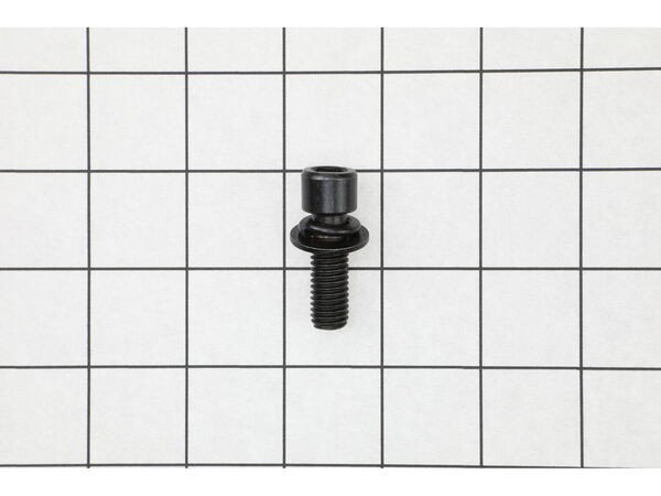 18689692-1-M-Ryobi-089240038081-SCREW (M10 X 30 MM)