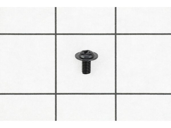 18690196-1-M-Ryobi-089290001061-SCREW (M4 X 8 MM, PAN HD)