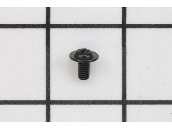 18690239-1-M-Ryobi-089290001113-SCREW (M4 X 10 MM, PAN HD)