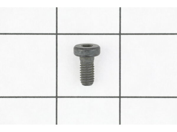 18698307-1-M-Ryobi-662023004-SCREW M60X1-6G HEX RECESS