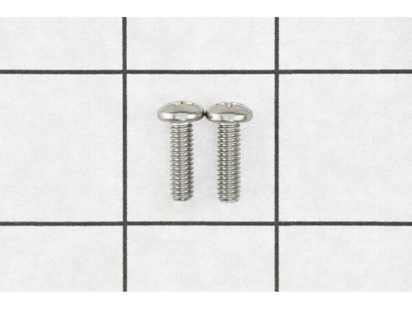 18711464-1-M-Ridgid-53513-SCREW, PKG OF 2