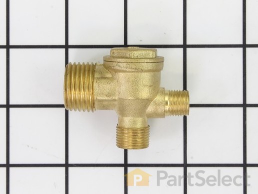 18715739-1-M-Powermate-E101208-Check Valve