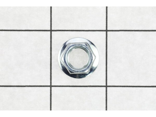 18781697-1-M-Homelite-099749004037-HEX NUT (M10, FLANGE)