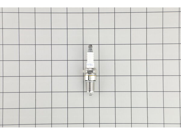 18781874-1-M-Homelite-099980858056-SPARK PLUG