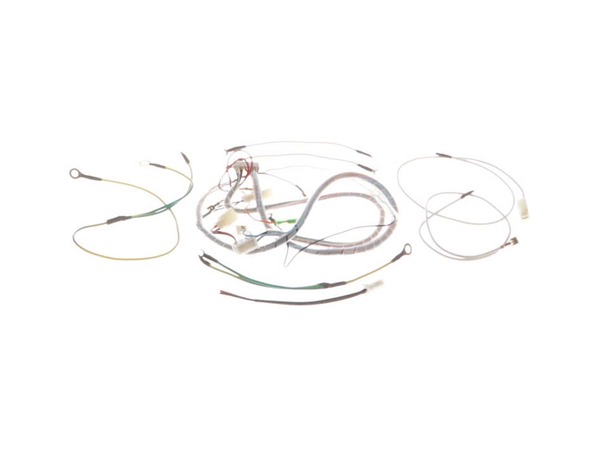 18783445-1-M-Homelite-290514003-WIRING HARNESS (INTERNAL)