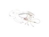 18783445-3-S-Homelite-290514003-WIRING HARNESS (INTERNAL)