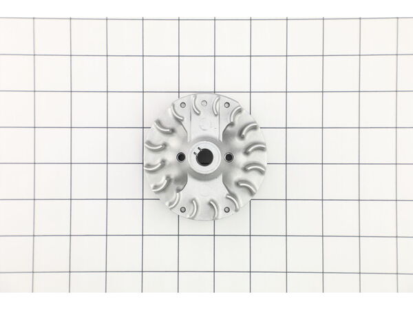 18783645-1-M-Homelite-307156001-ROTOR