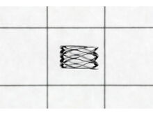 WAVE SPRING – Part Number: 637049002
