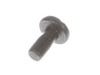 18788030-2-S-Homelite-660510009-SCREW (M5, SPECIAL)