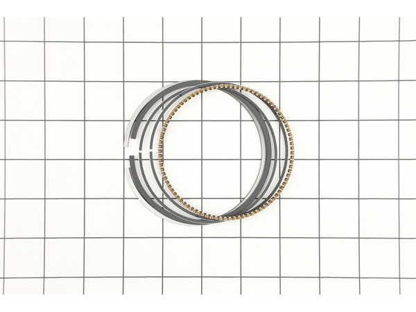 18793199-1-M-Homelite-D261604-PISTON SCRAPER RING SET