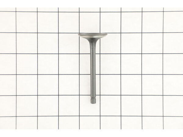 18793200-1-M-Homelite-D261702-INTAKE VALVE