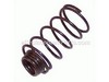 SPRING – Part Number: UT41002A-39