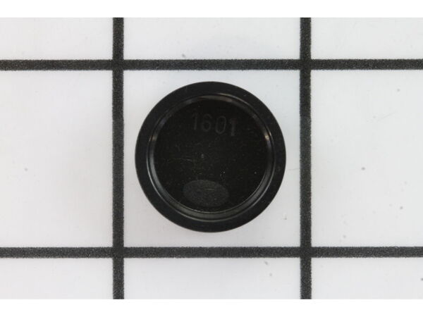 18974184-1-M-Fein-31342620997-COVER