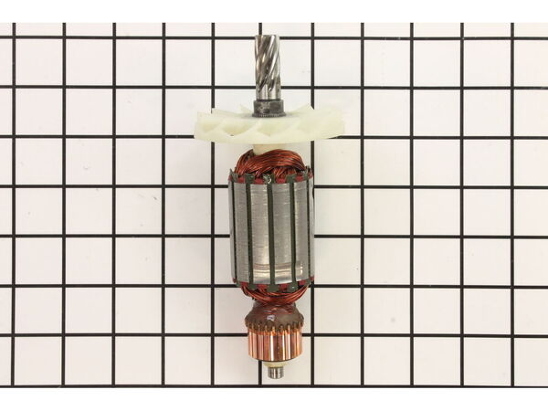 18974529-1-M-Fein-31343350050-ARMATURE, 120V FOR MCSL07