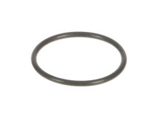 O RING – Part Number: 100817
