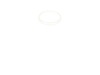 SEAL – Part Number: 107141