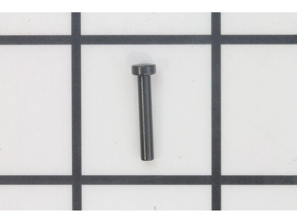 18980203-1-M-DeWALT-175564-PIN, CHECK PAWL