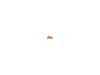 COVER, LATCH – Part Number: 175666