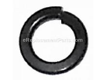 WASHER SPRING – Part Number: 1D104