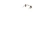 18986873-2-S-DeWALT-854023-SPRING, TORSION