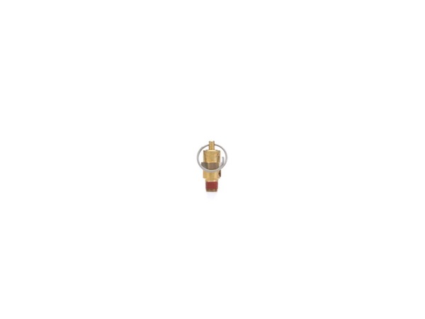 18991697-1-M-DeWALT-D21885-VALVE SAFETY 200 .12