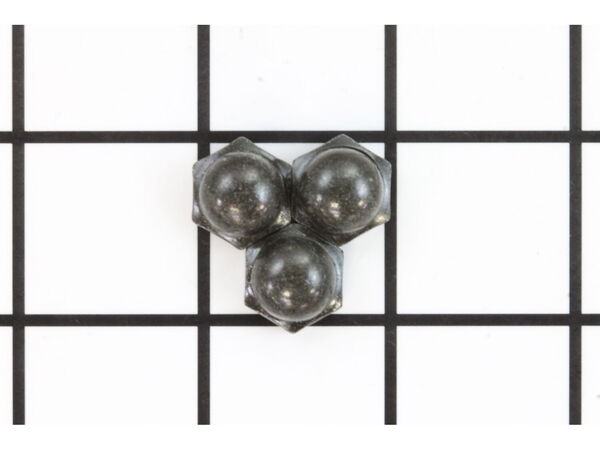 18998902-1-M-Coleman-93912071-ACORN NUTS