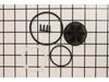 19216765-2-S-Wagner-520102-TURBINE VALVE AND O-RING KIT