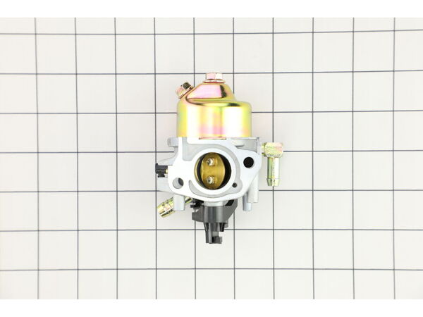 19252869-1-M-Husky-651P06018-CARBURETOR ASM