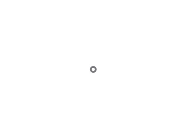 19273136-1-M-Husky-736-04183-WASHER-.395 X 1.0