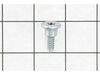 SCREW-SHLDR .394X. – Part Number: 738-06055