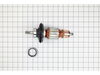 19500661-2-S-Bosch Tool-1607000C55-ARMATURE